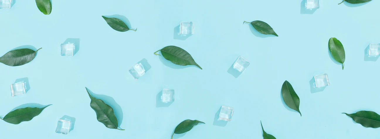 Green leaves surrounded by ice cubes on a blue background